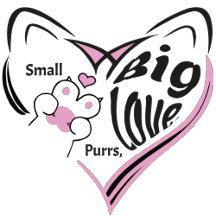 Small Purrs, Big Love