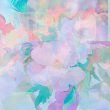 Astrid Wedding & Party Designs