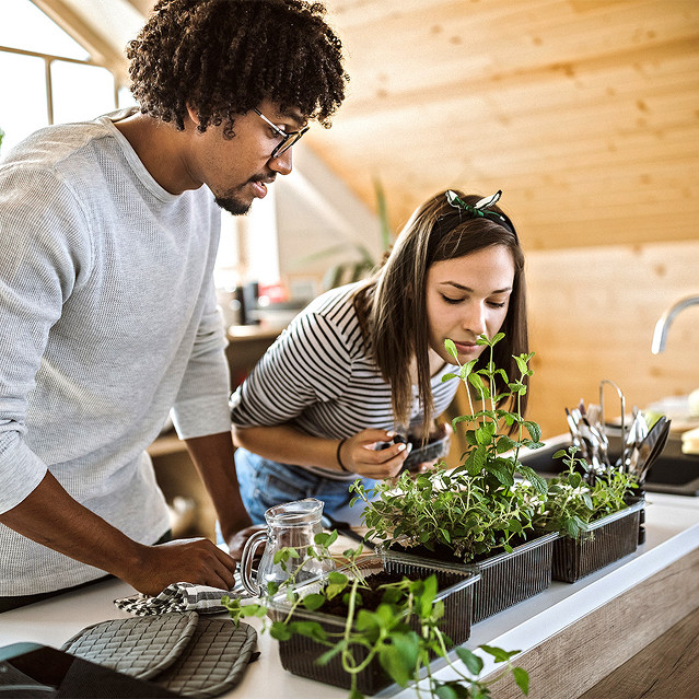 Planning the Perfect Indoor Herb Garden