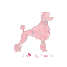 Pastel Poodle Lover Gifts – Custom Dog Design