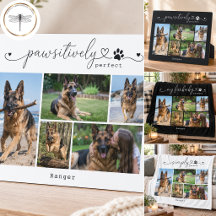 Black & White Modern Pet Photo Gifts