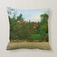 Pillows