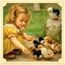 Greeting Cards,  Stationary and Planners