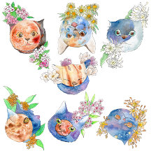 宙猫(universe cat/universo gato)