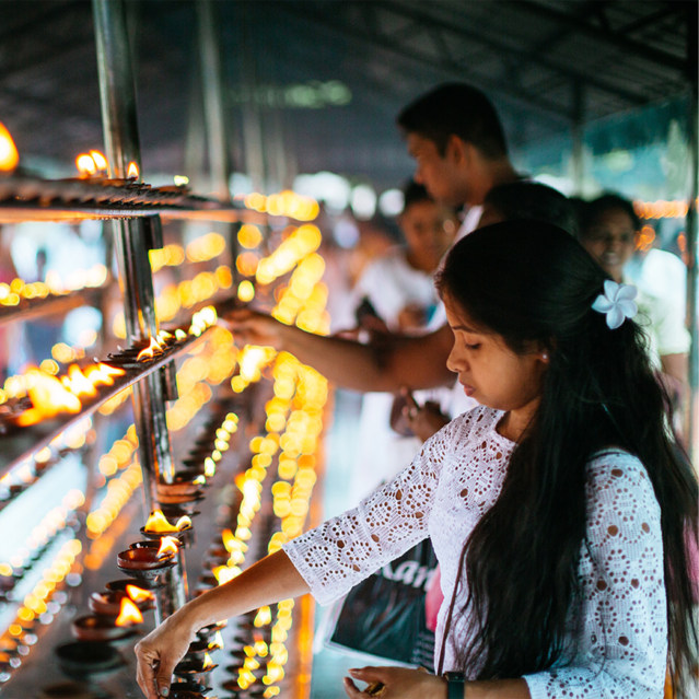 Feasts for The Senses