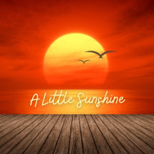 A Little Sunshine Collection