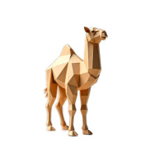 Desert Geometric animals