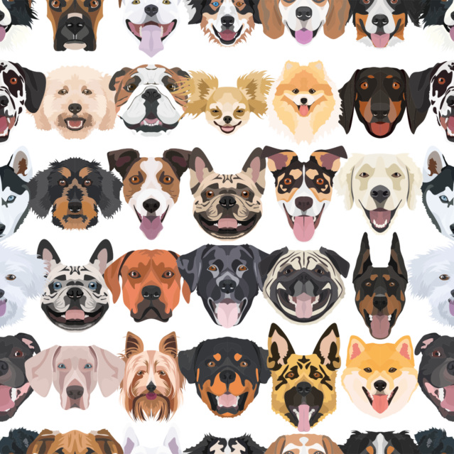 Today is National Dog Day!