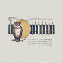 Owls