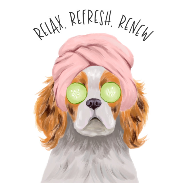 Unplug, Unwind, & Relax