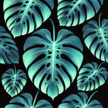 Mysterious Monstera