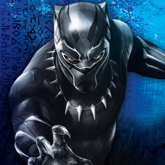 Black Panther, High-Tech Character Graphic Aluminum Water Bottle, Zazzle  in 2023