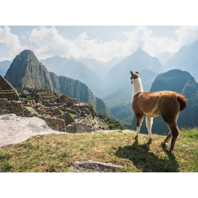 Every photo tells a story, and on World Photography Day, these photo stories make up our worldview.