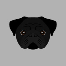 Black Pug