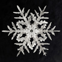 WILSON BENTLEY'S SNOW FLAKES GIFT WRAPPING