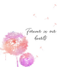 Pretty Pastel Dandelion In Loving Memory