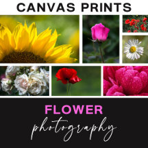 Flower Photography Canvas Prints