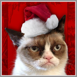 Official Grumpy Cat Merchandise on Zazzle: Designs & Collections on Zazzle