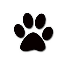 Pets