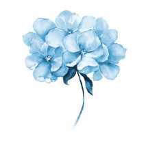 Baby Boy || Baby Shower