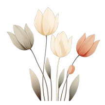 For the Minimalist