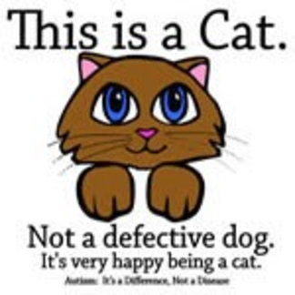 This is a Cat