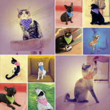 Polka and Dots Pattern Collection