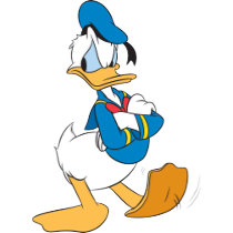 Donald Duck | Standing Arms Crossed