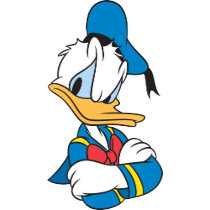 Donald Duck | Arms Crossed