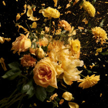 Bloom in Motion