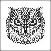 Adult Coloring Books Merchandise