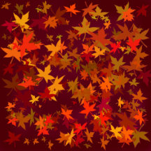 Fall Favorites