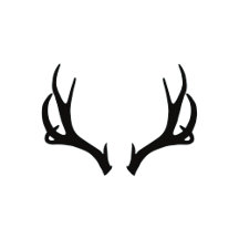 Rustic Deer Antlers Collection