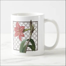 FRUIT AND FLORA - MUGS