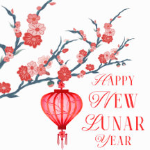 CHINESE NEW YEAR: 2024, The Dragon Year!