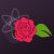 Rational Rose