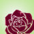 Everything's Rosy
