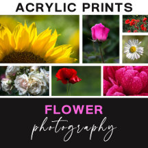 Flower Photography Acrylic Prints