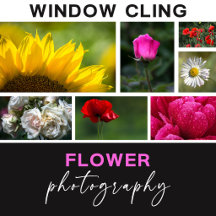 Flower Photograpy - Window Cling