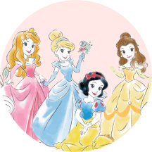 Disney Princess Baby Shower