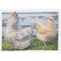 Farmhouse Chickens Collection