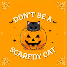 Don't Be A Scaredy Cat