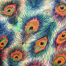 Crystal Womens Apparel 