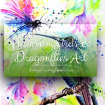 Hummingbirds & Dragonflies Art