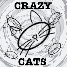 crazy cats