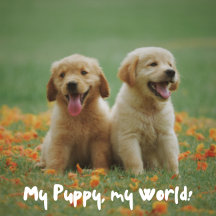 My Puppy, My World