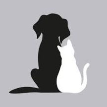 Pet Daycare Business Cards