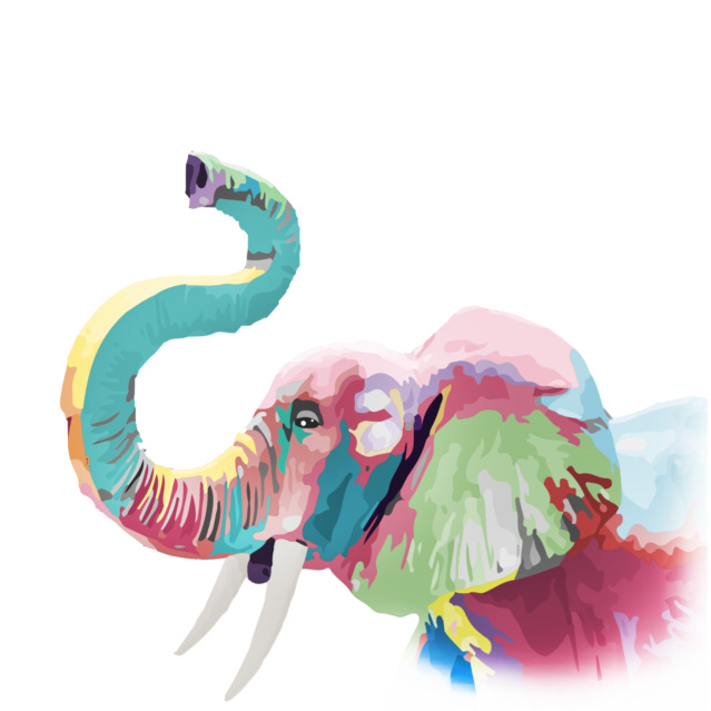 Today is World Elephant Day, a day dedicated to the protection of elephants around the world.