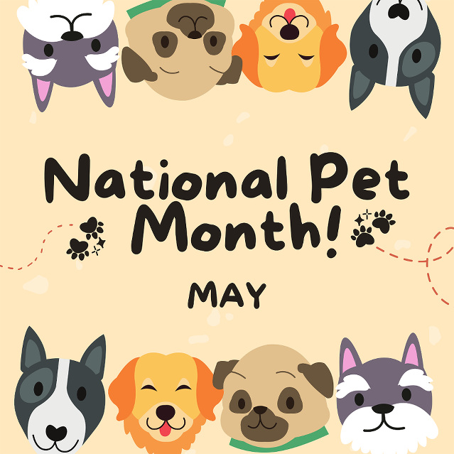 National Pet Month