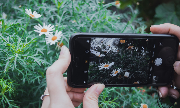 Best Photo Editing Apps to Improve Your Pics